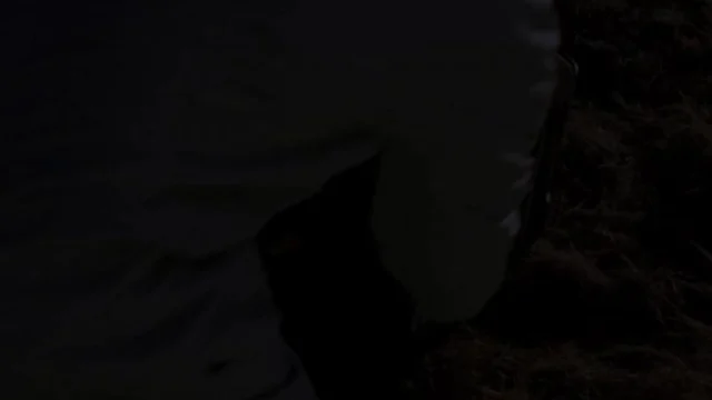 Кадры из сериала Во все тяжкие (2008)